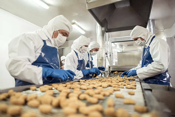 Workers in blue gloves and a blue apron with hairnets package food on a production line