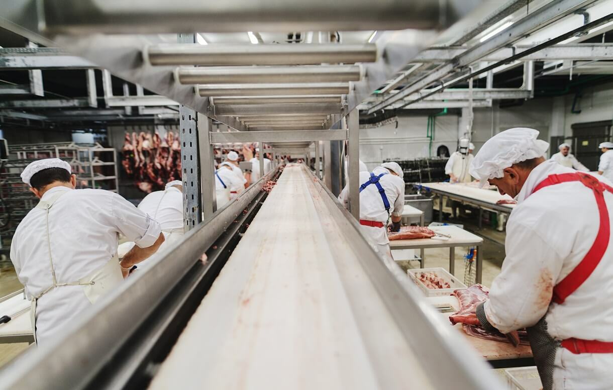 Employees work on a food production line